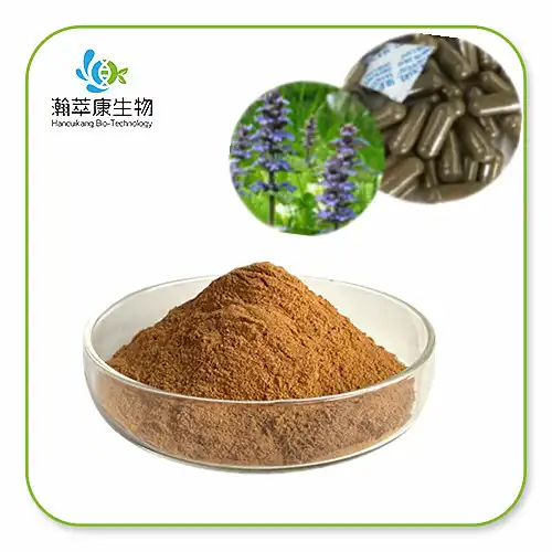 ajuga turkestanica ajuga turkestanica